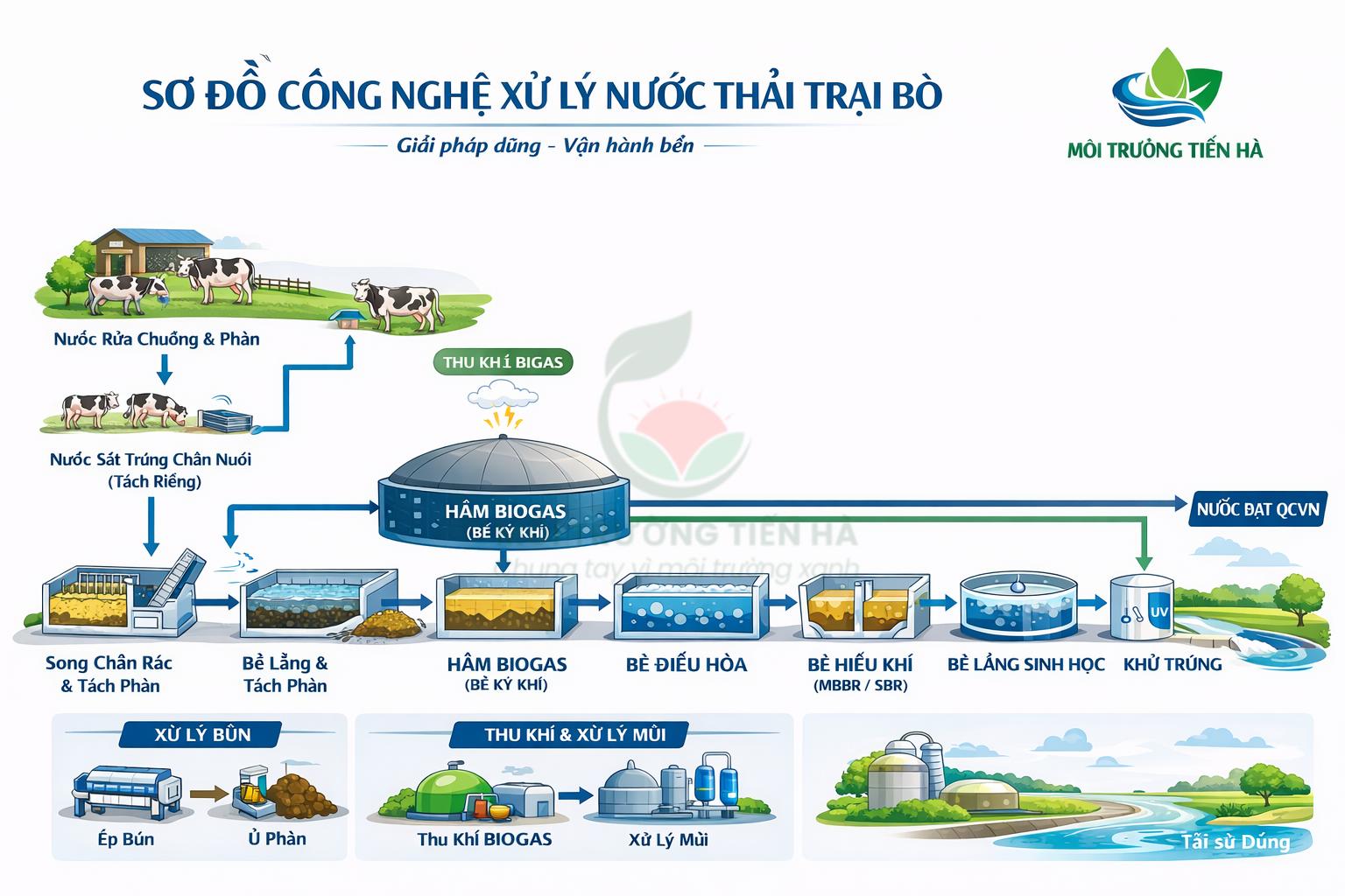 Hệ thống xử lý nước thải trại bò