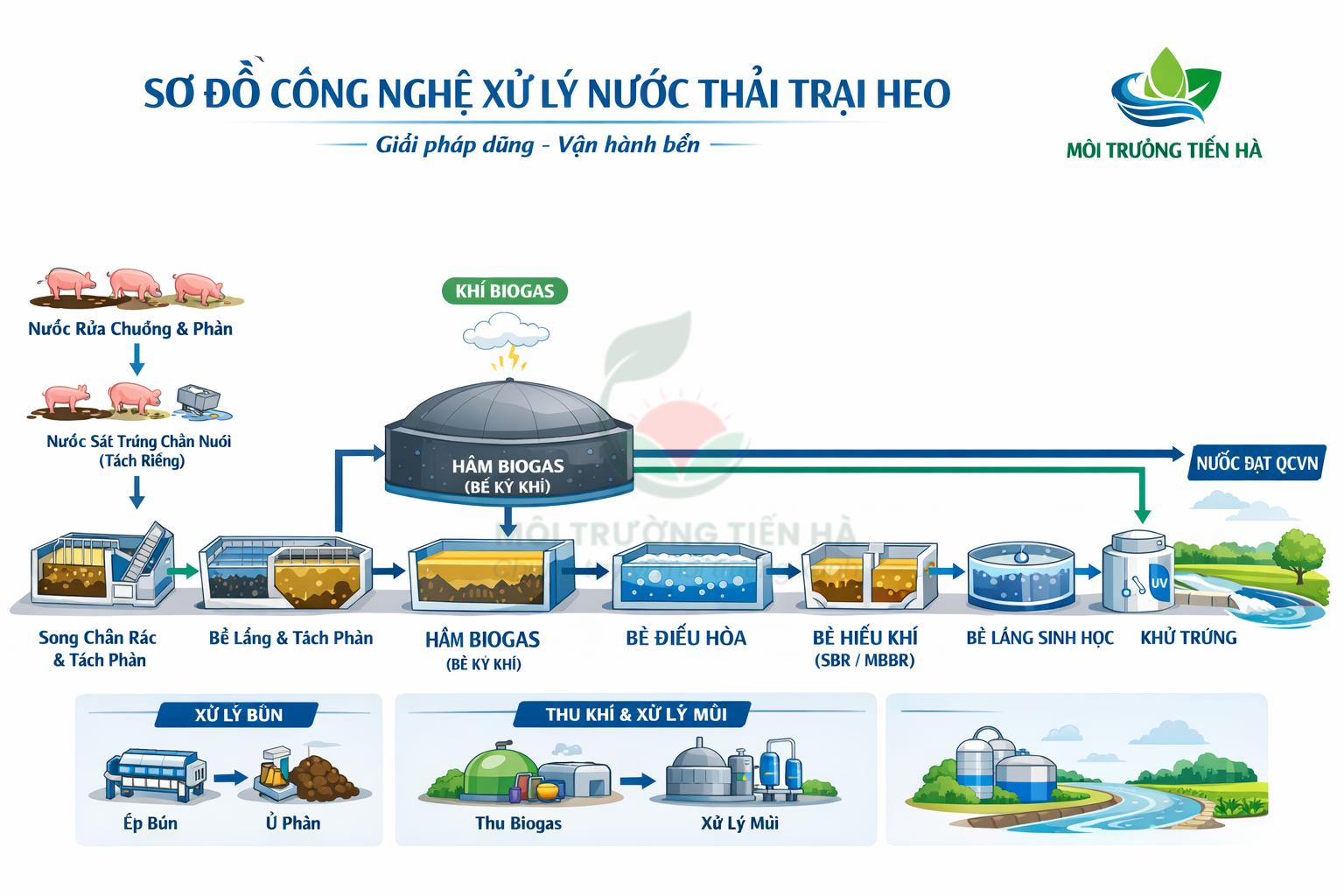 hệ thống xử lý nước thải trại heo