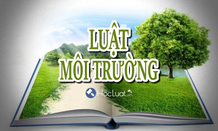 Luật môi trường