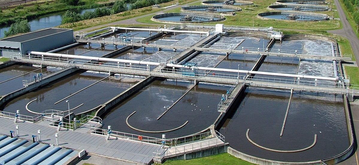 Nuôi cấy bùn vi sinh